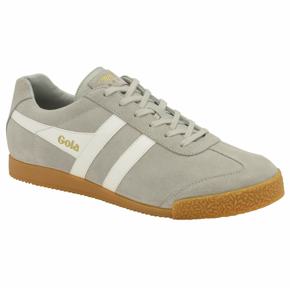 Basket Gola Harrier Daim Grise Clair Blanche Homme | POXE-49614721