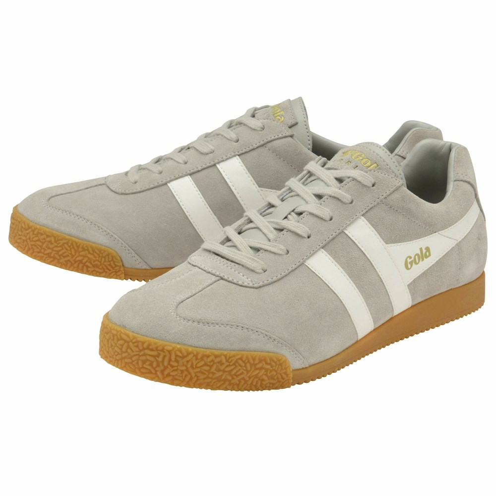 Basket Gola Harrier Daim Grise Clair Blanche Homme | POXE-49614721