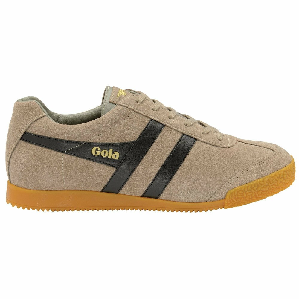 Basket Gola Harrier Daim Noir Homme | HGAD-96811521