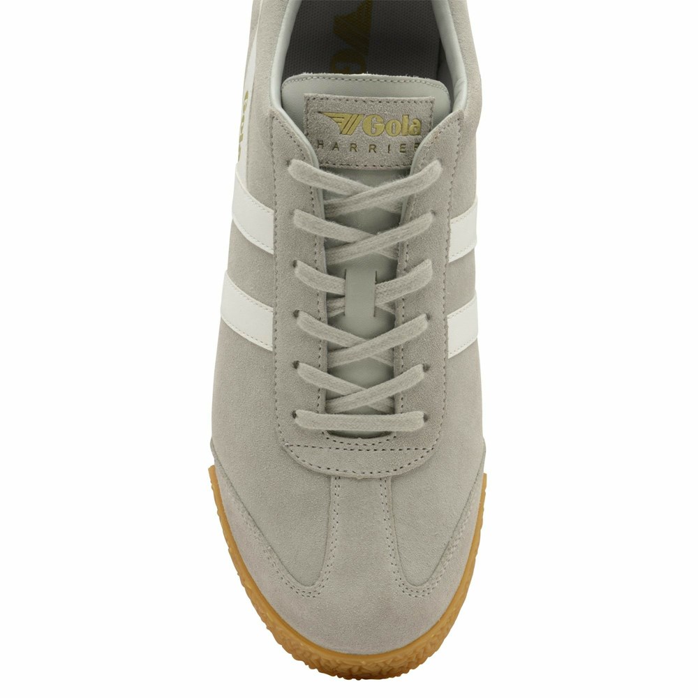 Basket Gola Harrier Daim Grise Clair Blanche Homme | POXE-49614721