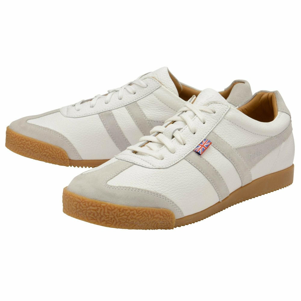 Basket Gola Harrier 317 Blanche Homme | MFGA-34562510