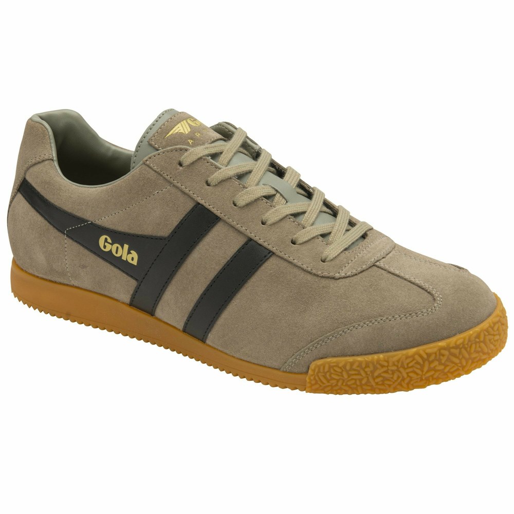 Basket Gola Harrier Daim Noir Homme | HGAD-96811521