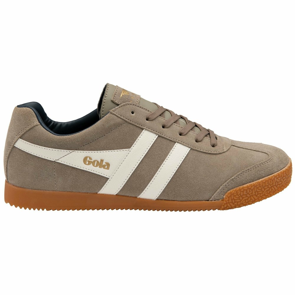 Basket Gola Harrier Daim Blanche Bleu Marine Homme | AHCV-94033863