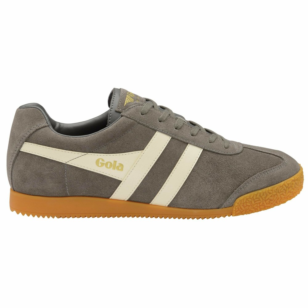 Basket Gola Harrier Daim Grise Homme | VGYS-90833087