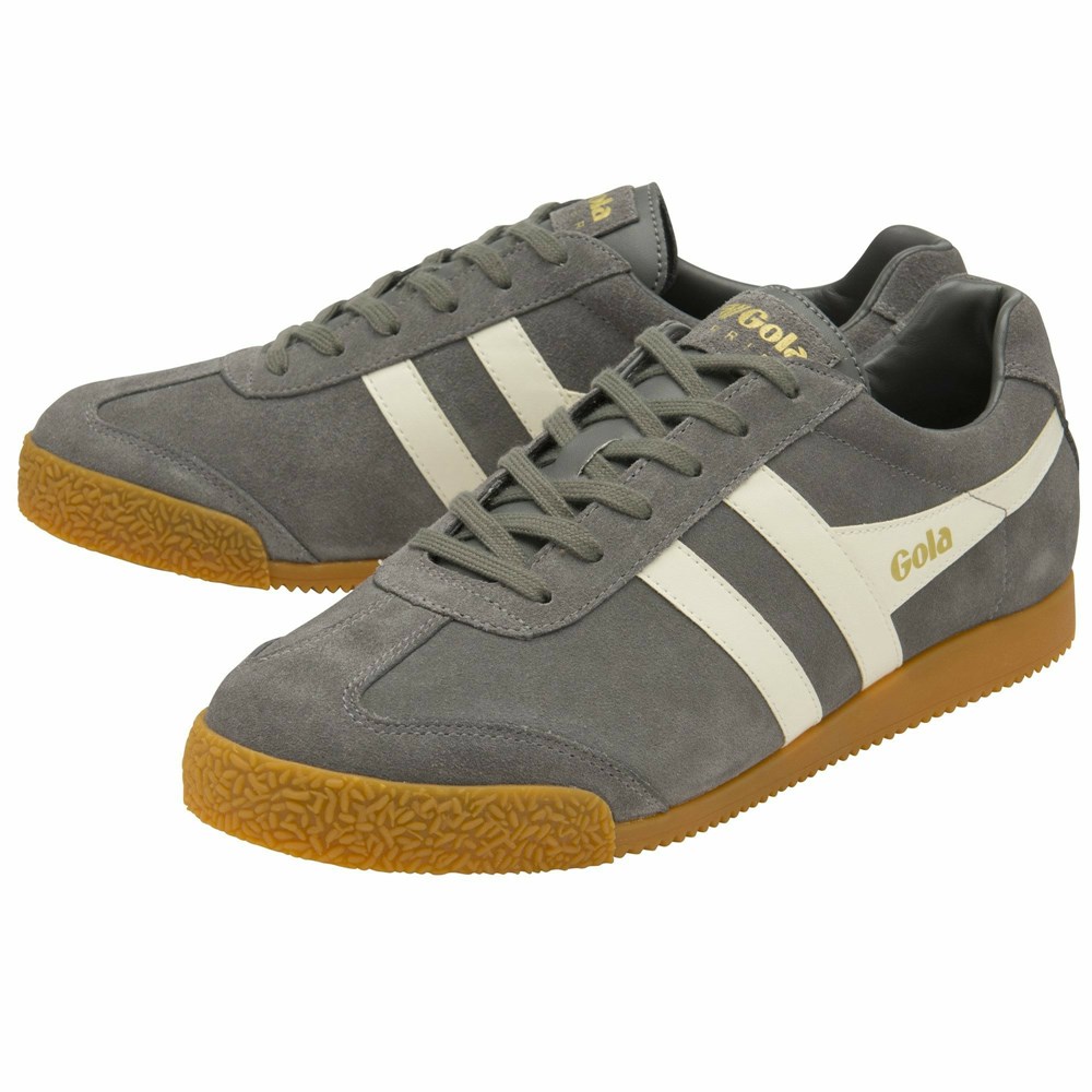 Basket Gola Harrier Daim Grise Homme | VGYS-90833087