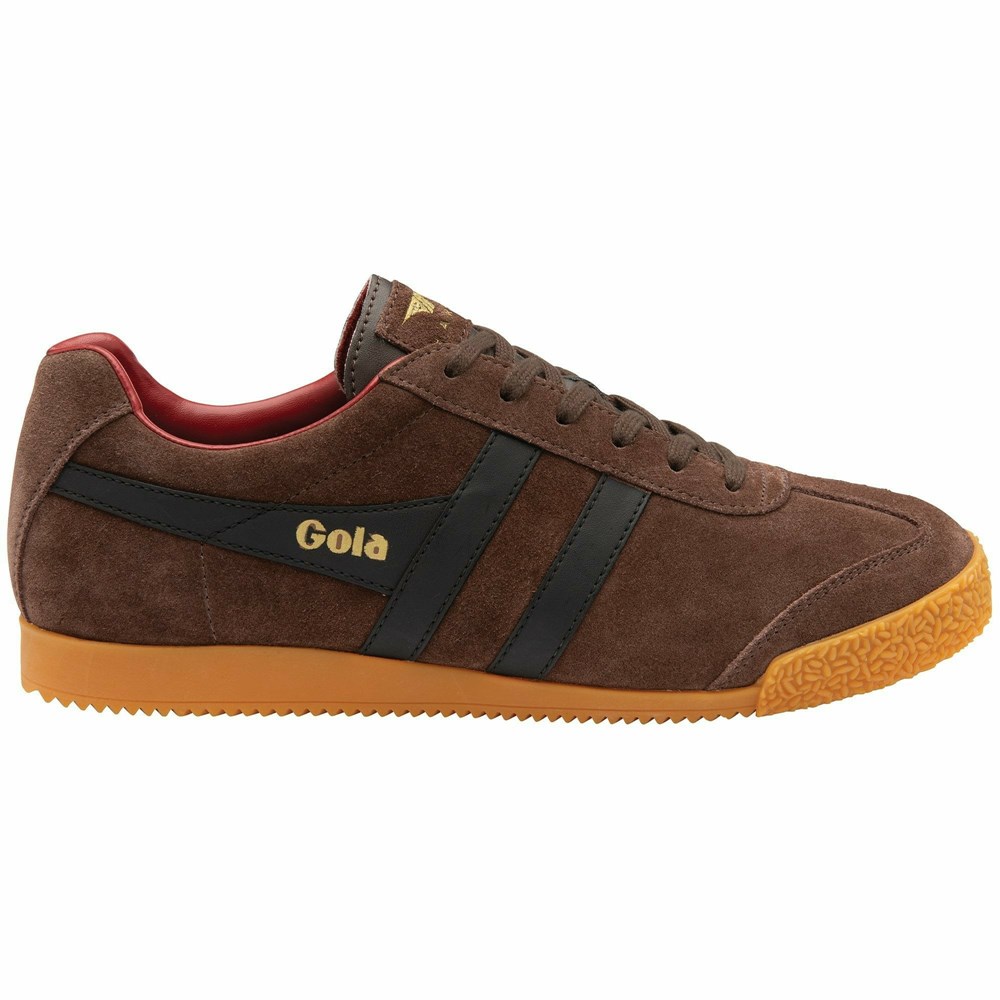 Basket Gola Harrier Daim Marron Foncé Noir Rouge Homme | GOZV-85072880