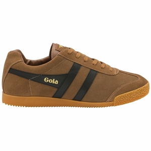 Basket Gola Harrier Daim Marron Noir Homme | KRRR-87570387