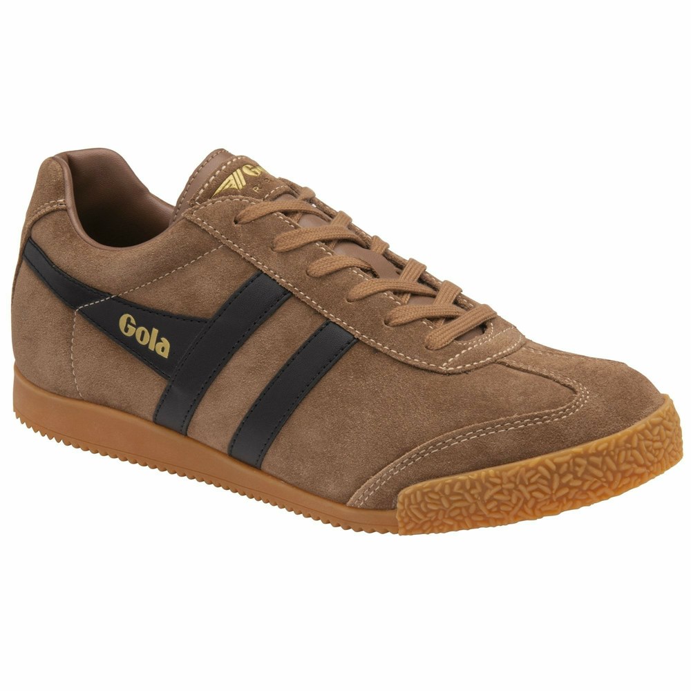 Basket Gola Harrier Daim Marron Noir Homme | KRRR-87570387