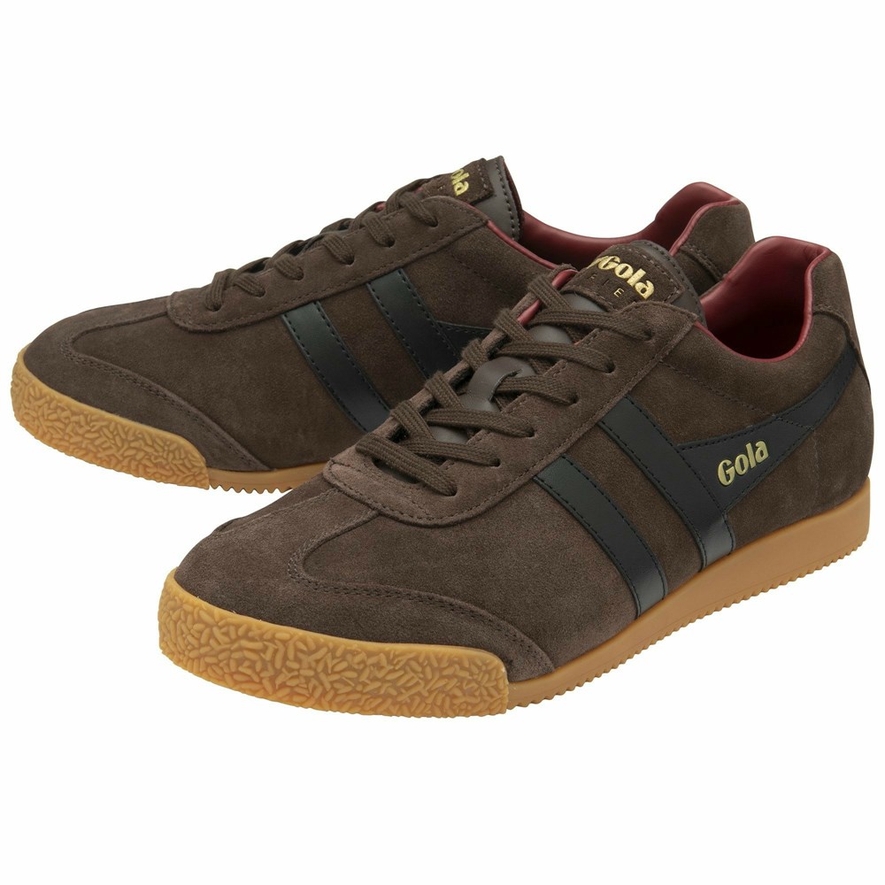 Basket Gola Harrier Daim Marron Foncé Noir Rouge Homme | GOZV-85072880