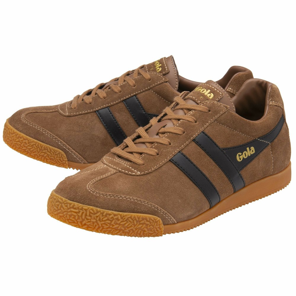 Basket Gola Harrier Daim Marron Noir Homme | KRRR-87570387