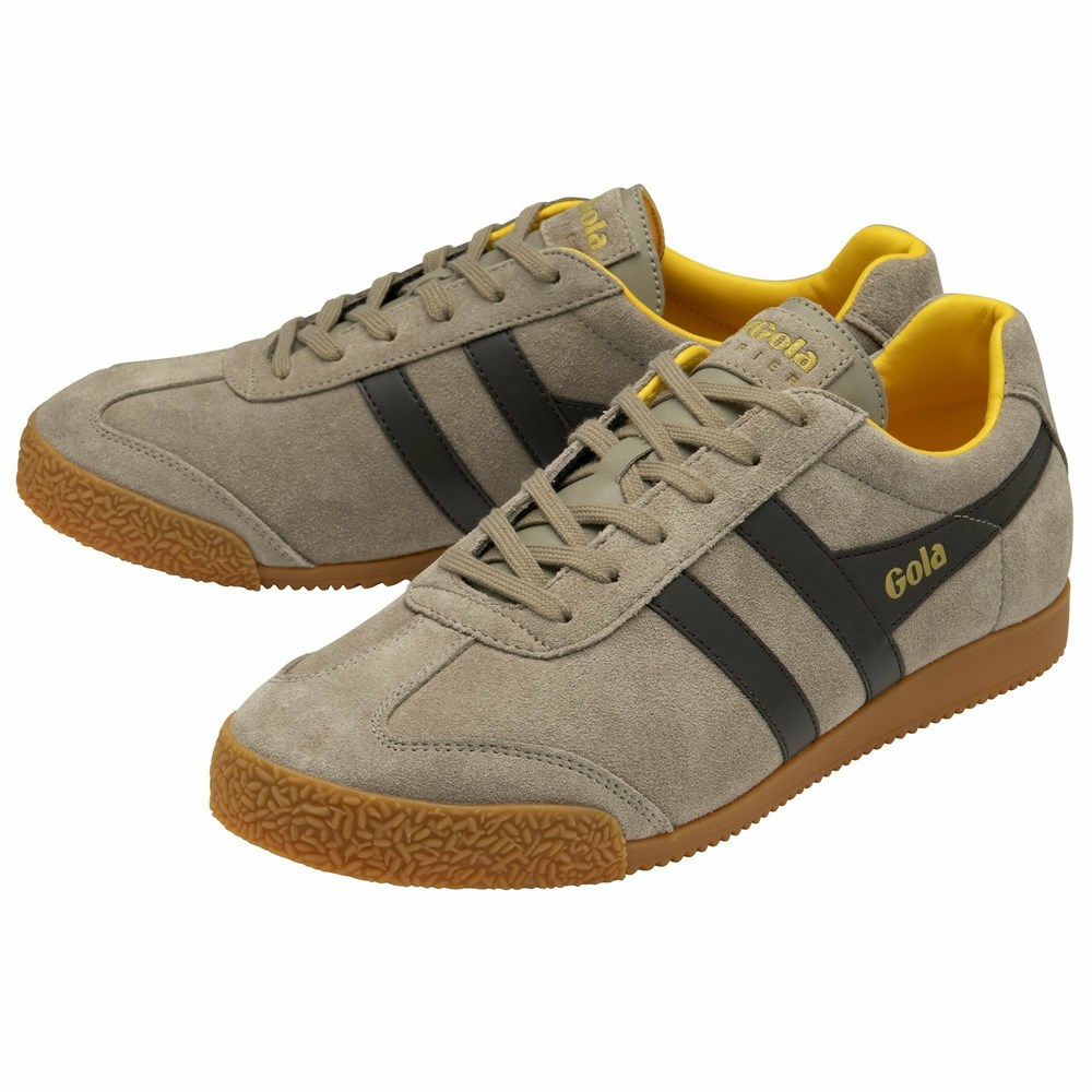 Basket Gola Harrier Daim Marron Foncé Orange Homme | KQER-87568628