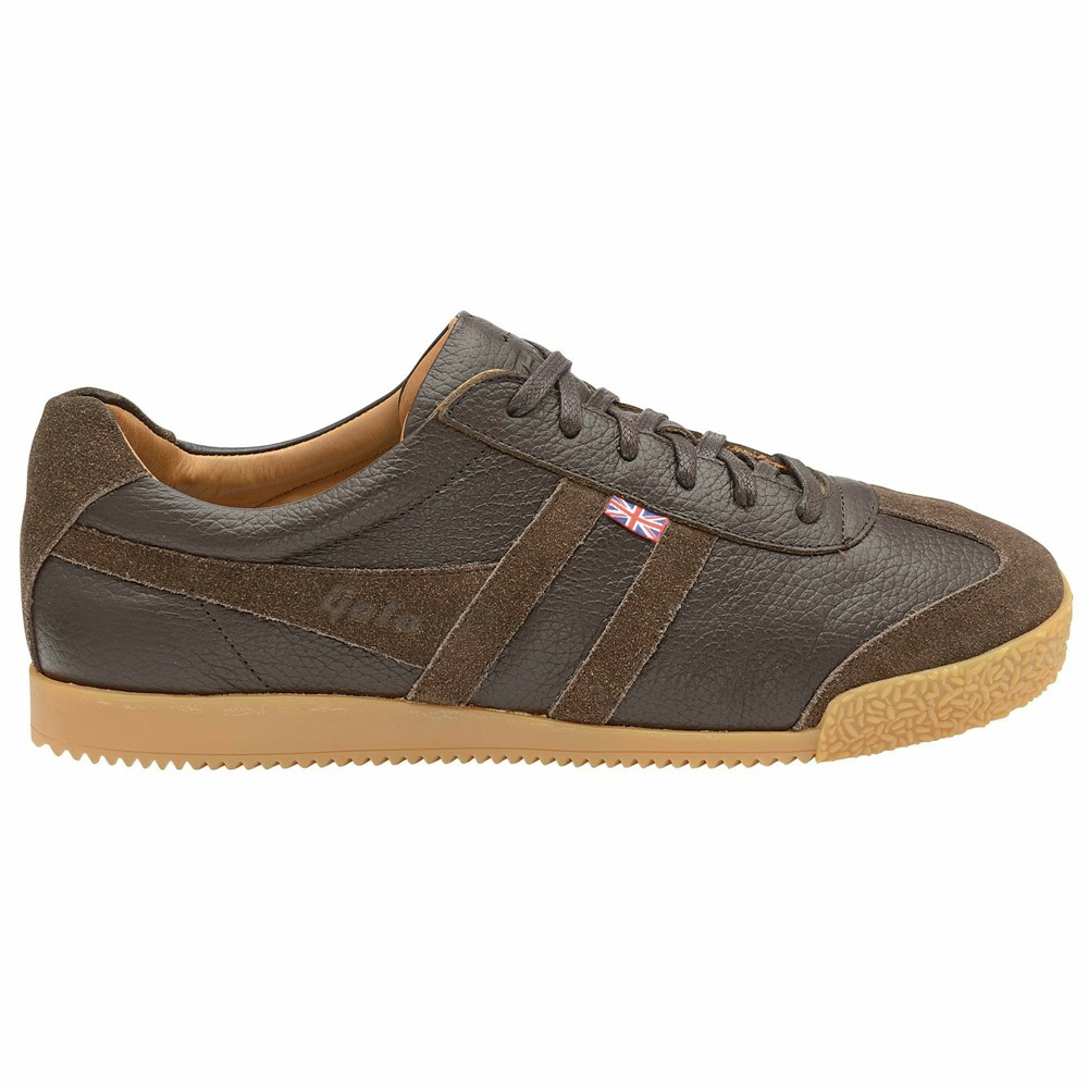 Basket Gola Harrier 317 Marron Marron Homme | SPZH-40911269