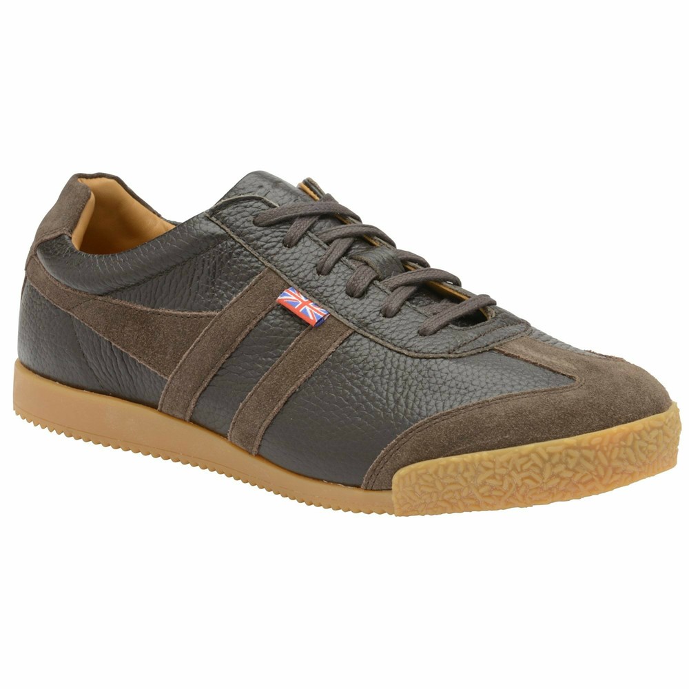 Basket Gola Harrier 317 Marron Marron Homme | SPZH-40911269