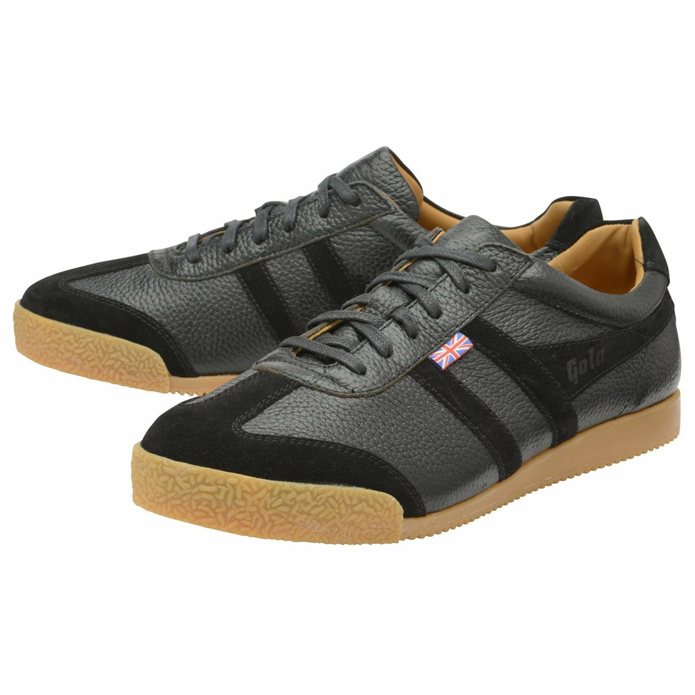 Basket Gola Harrier 317 Noir Noir Homme | LQTB-01296295