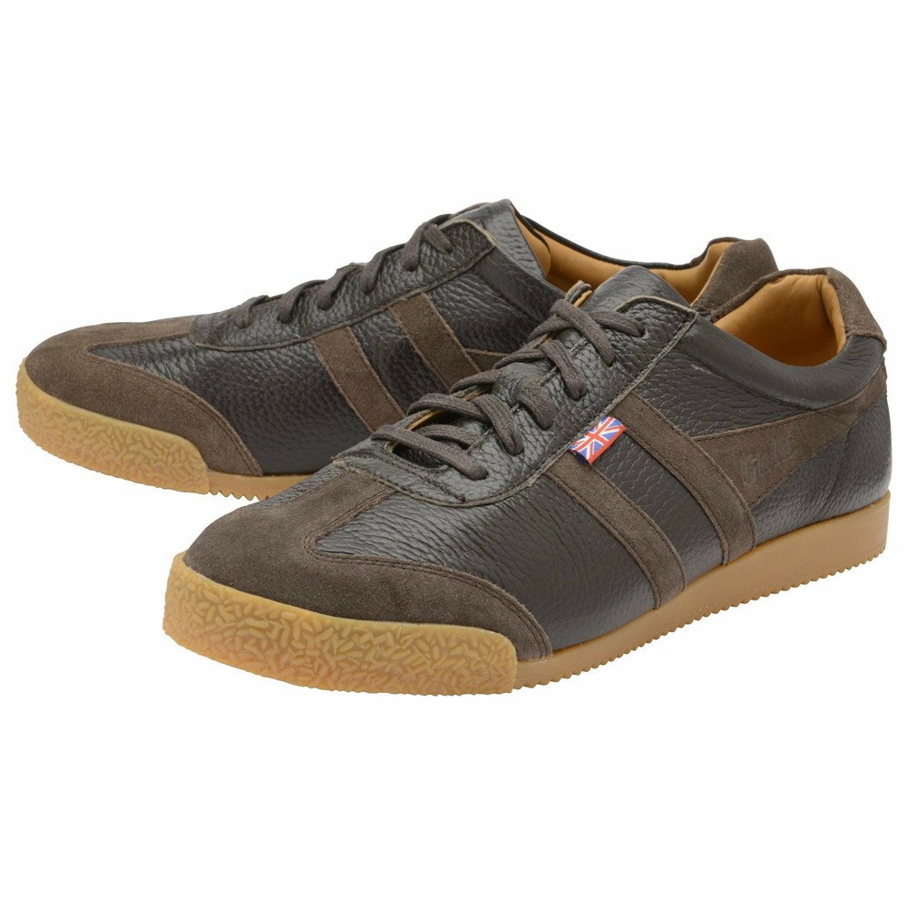 Basket Gola Harrier 317 Marron Marron Homme | SPZH-40911269