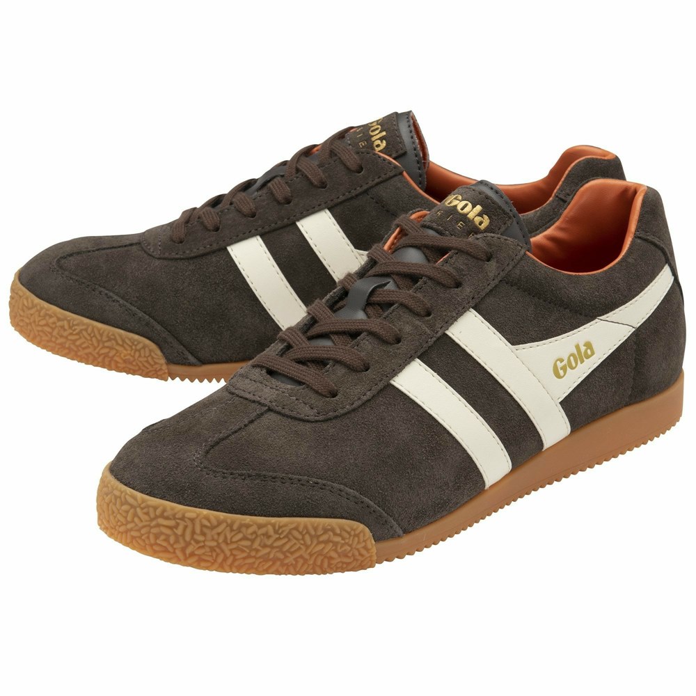 Basket Gola Harrier Daim Marron Foncé Blanche Orange Homme | JFGA-06497268