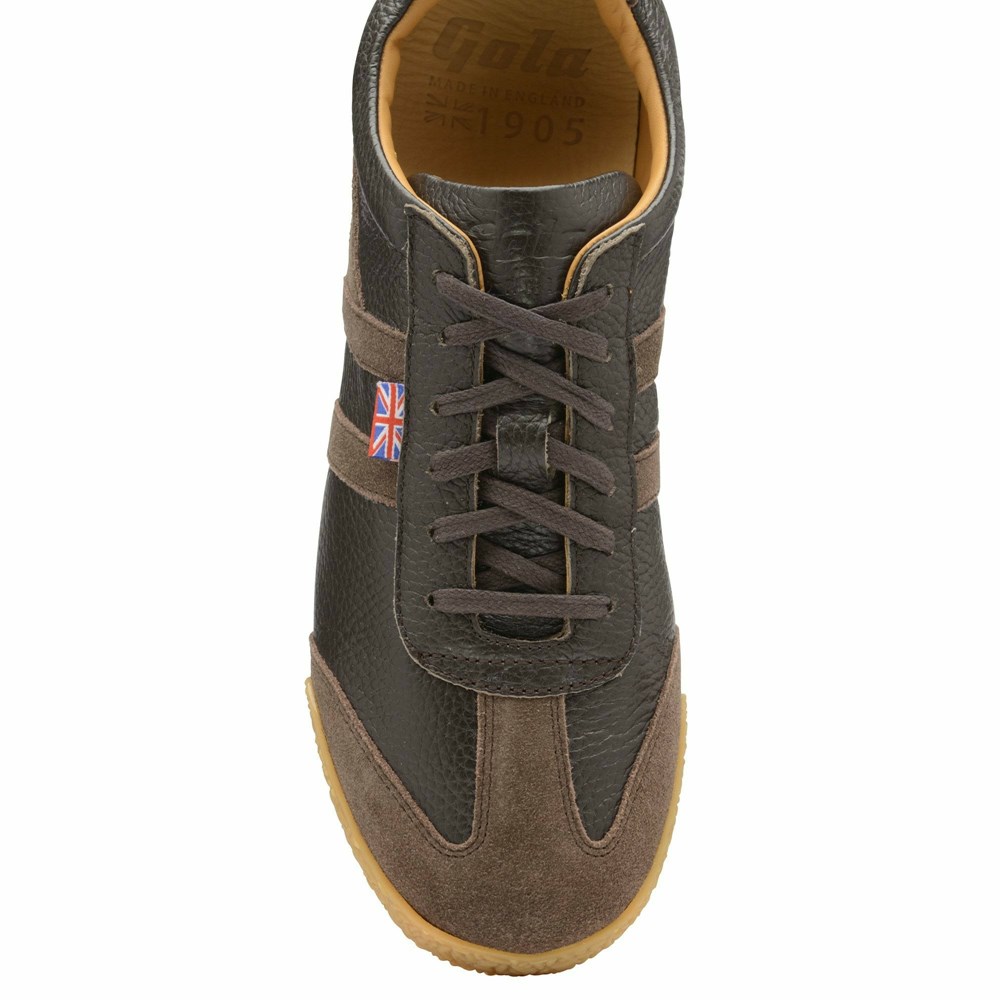 Basket Gola Harrier 317 Marron Marron Homme | SPZH-40911269