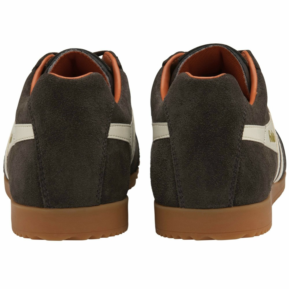 Basket Gola Harrier Daim Marron Foncé Blanche Orange Homme | JFGA-06497268