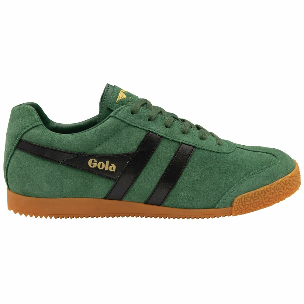 Basket Gola Harrier Daim Noir Homme | HODS-11587019