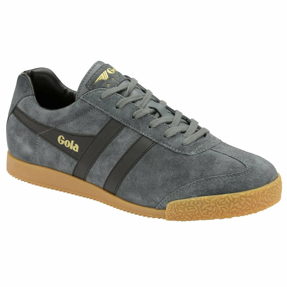 Basket Gola Harrier Daim Grise Foncé Noir Femme | OULJ-06538541